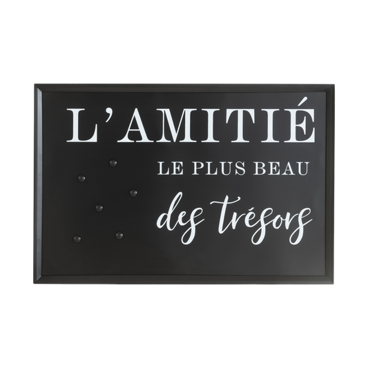 Plaque métallique "l'amitié le plus beau des trésors"