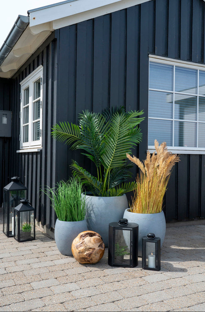 Palmier Areca 175 cm