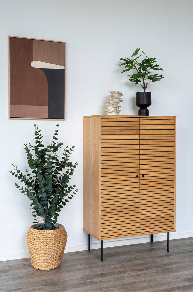Plante eucalyptus