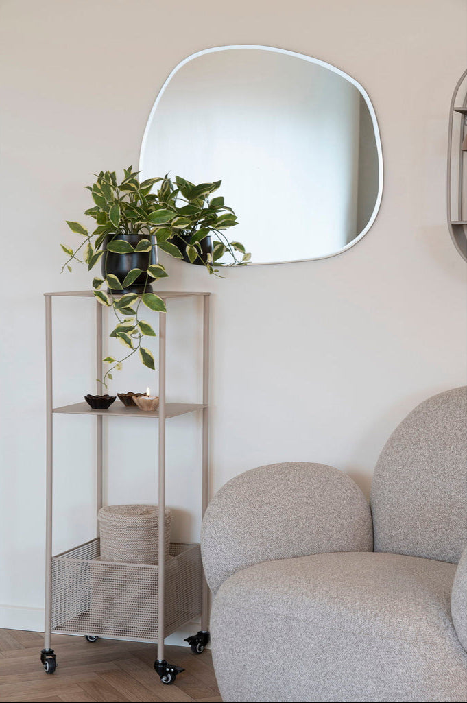 Plante Hoya Carnosa