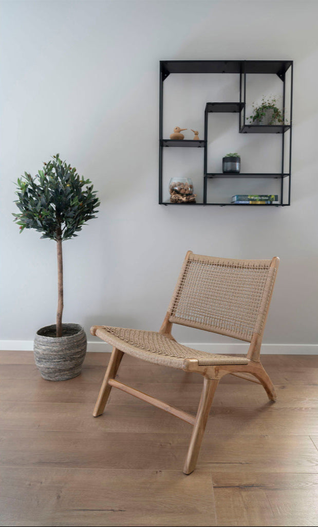 Olivier arbre 120 cm