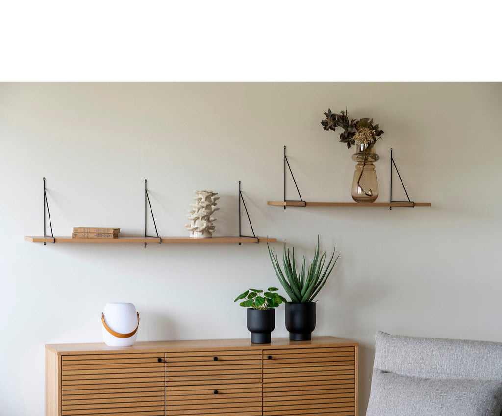 Plante Pelia