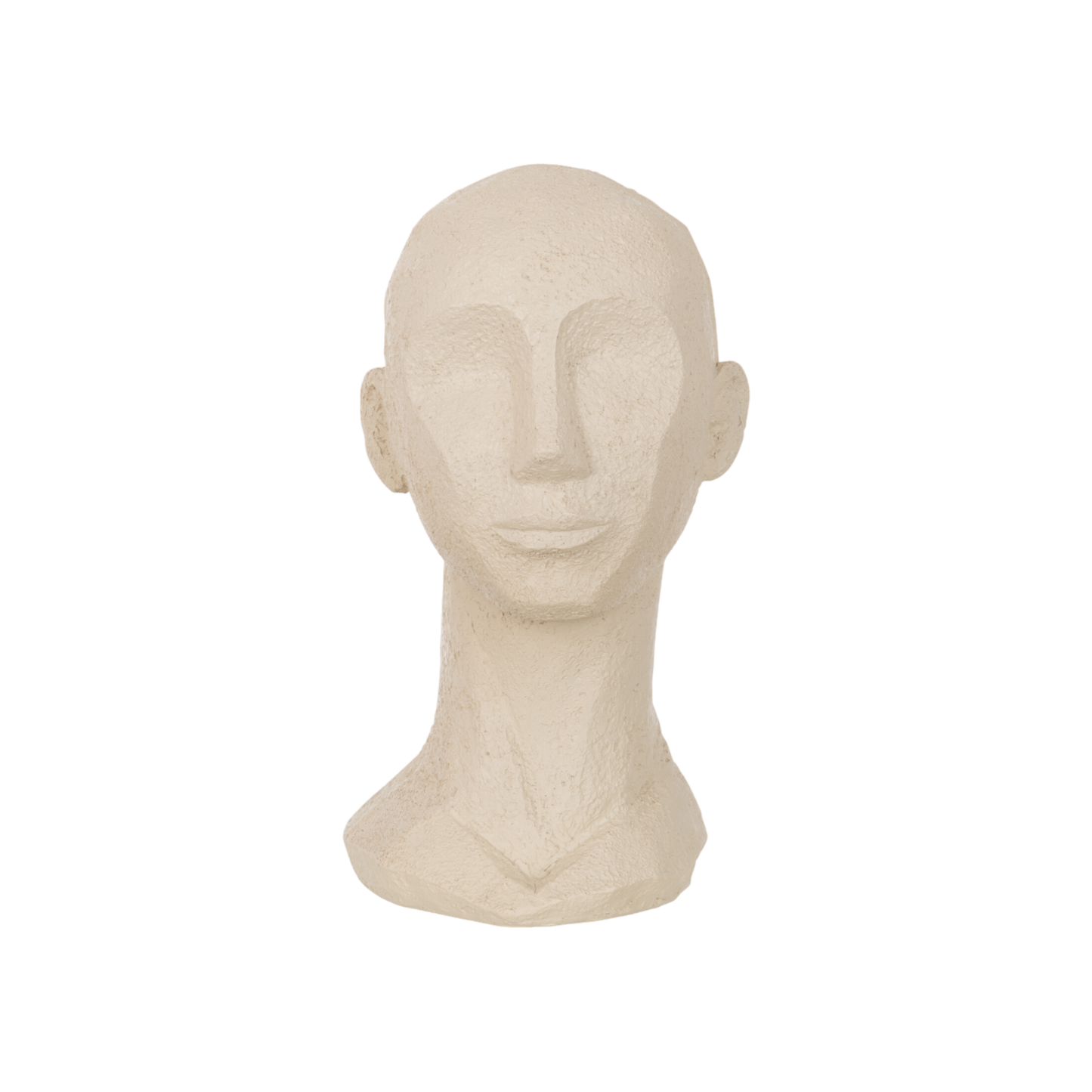 LARGE ABSTRACT HEAD