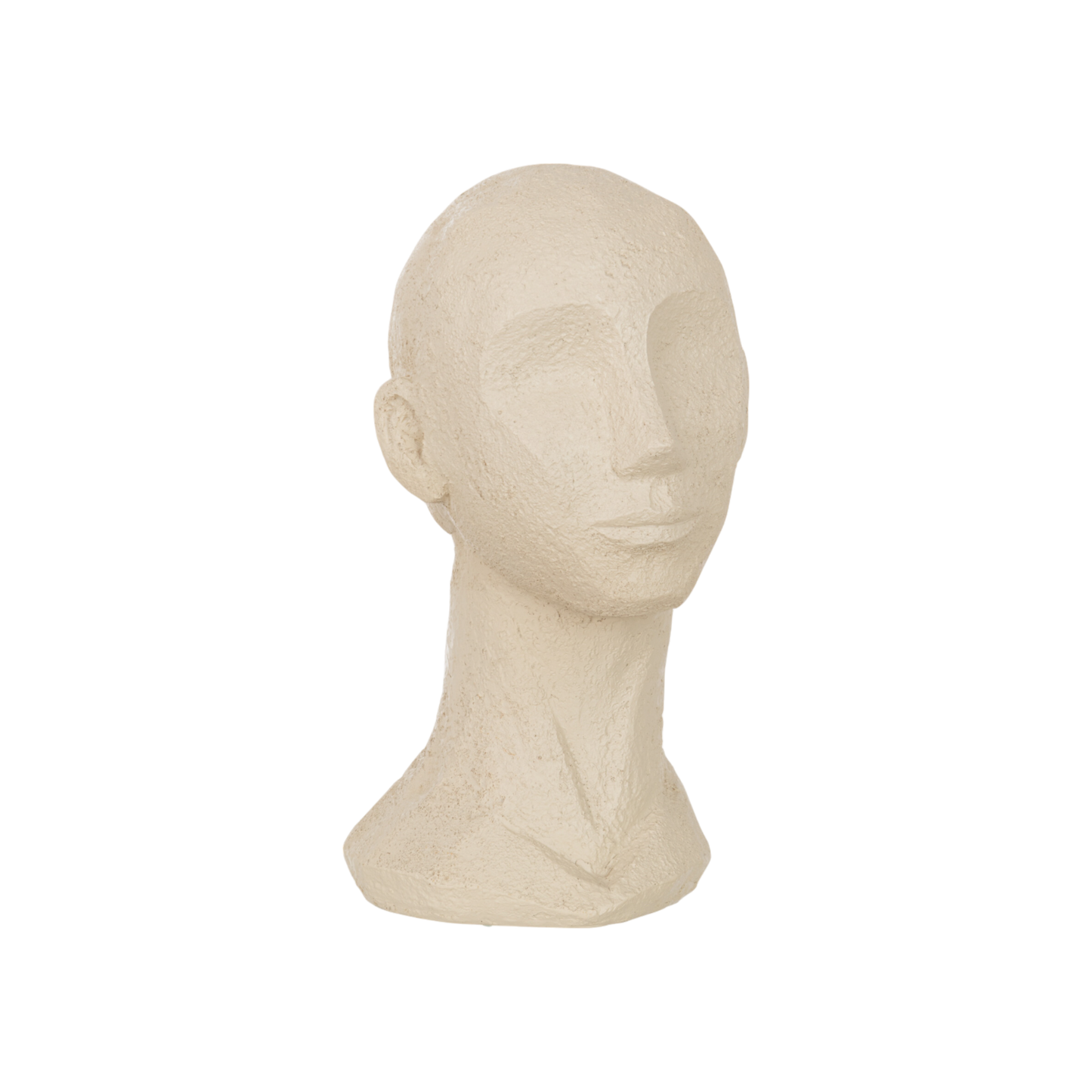 LARGE ABSTRACT HEAD