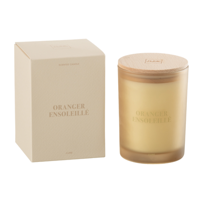 Bougie parfumée "Accords essentiels" Oranger ensoleillé