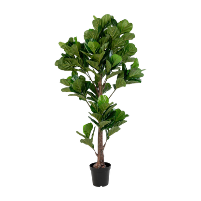 Arbre à feuille de violon