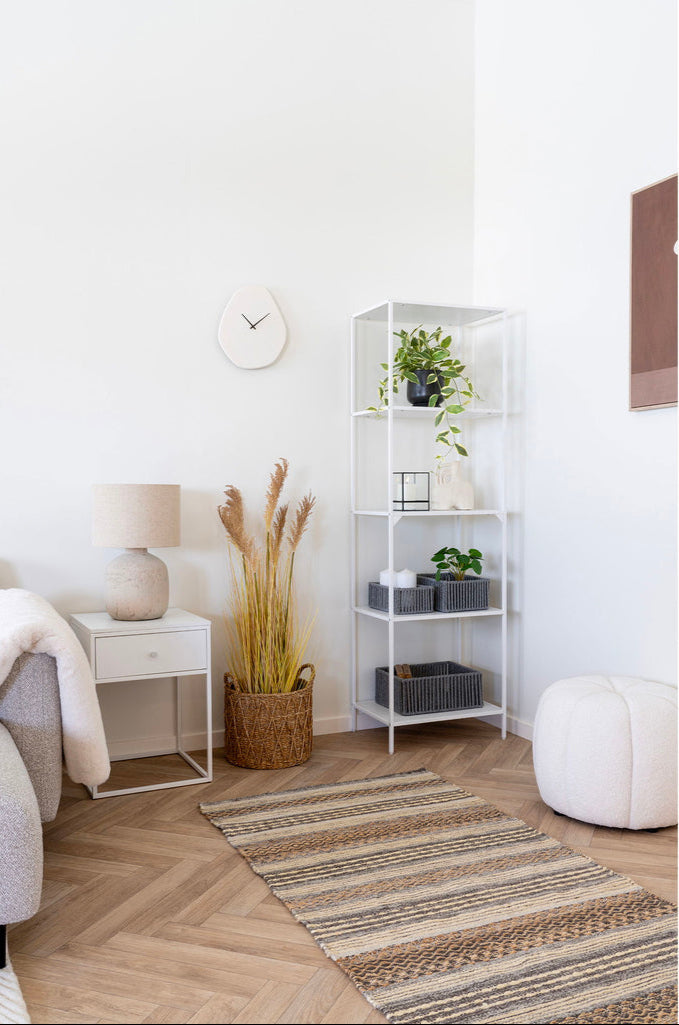 Plante herbe de Sorgho